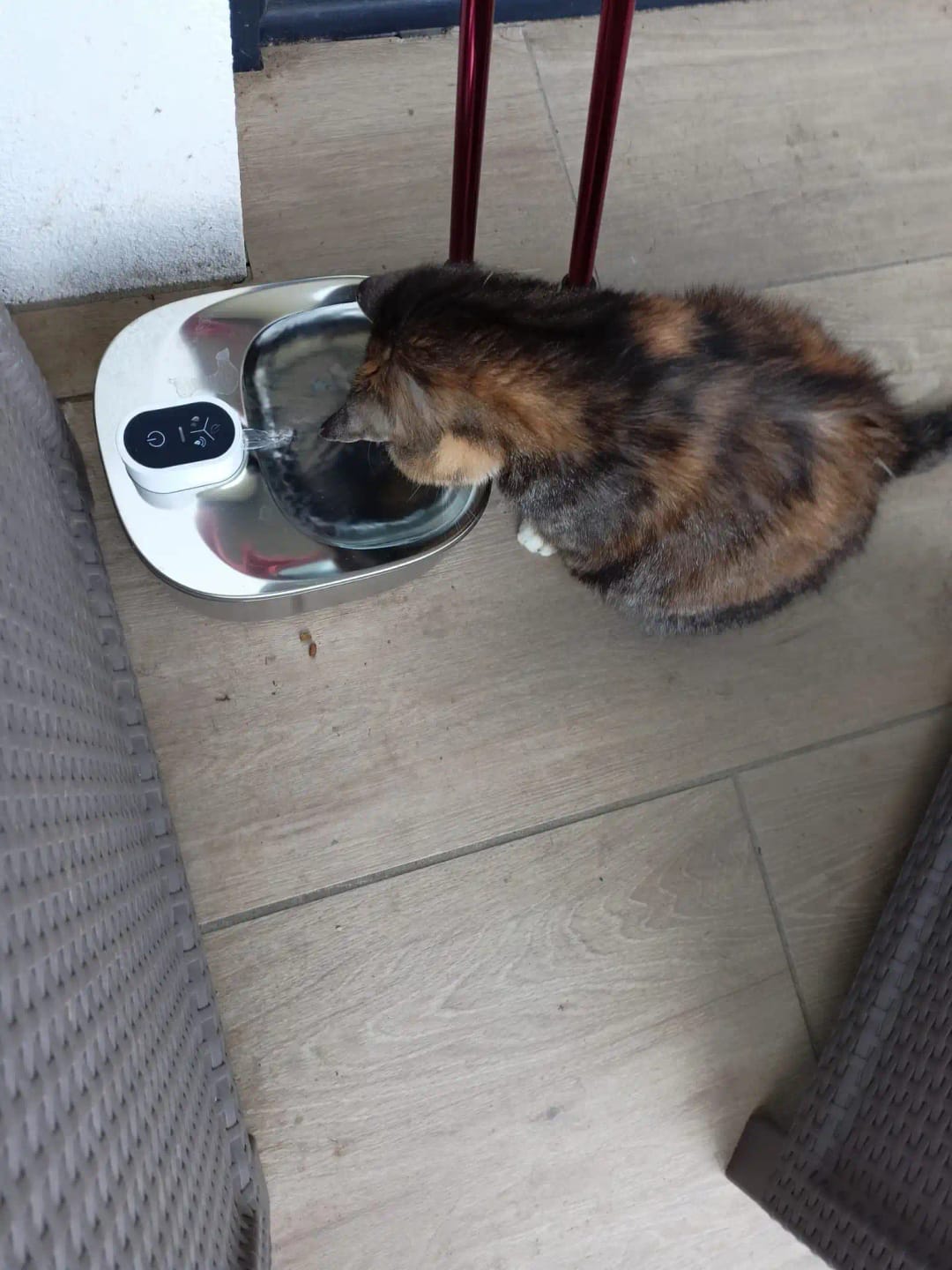 Customer photo review of 🐾 PawMaxi SmartFlow™ – 4L Wireless Water Fountain