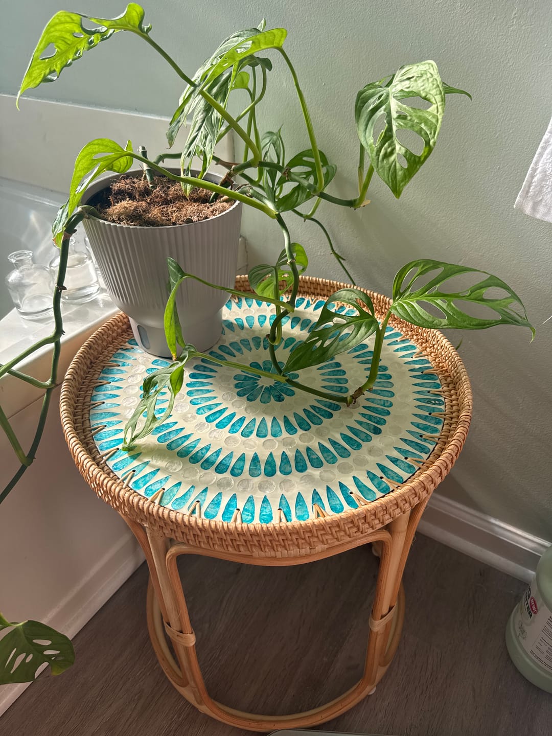 Customer photo review of Serene Rattan Table