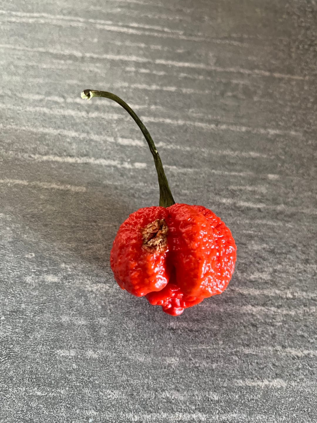 Customer photo review of Frische Carolina Reaper, 100g