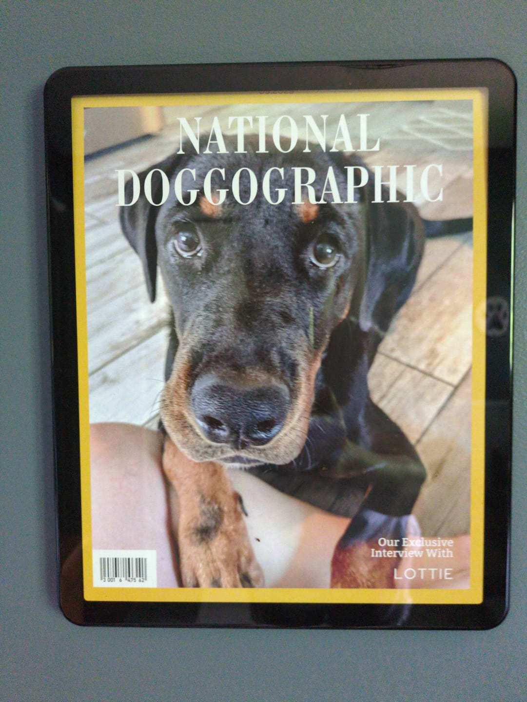 Customer photo review of Pet Portrait Magazine Cover