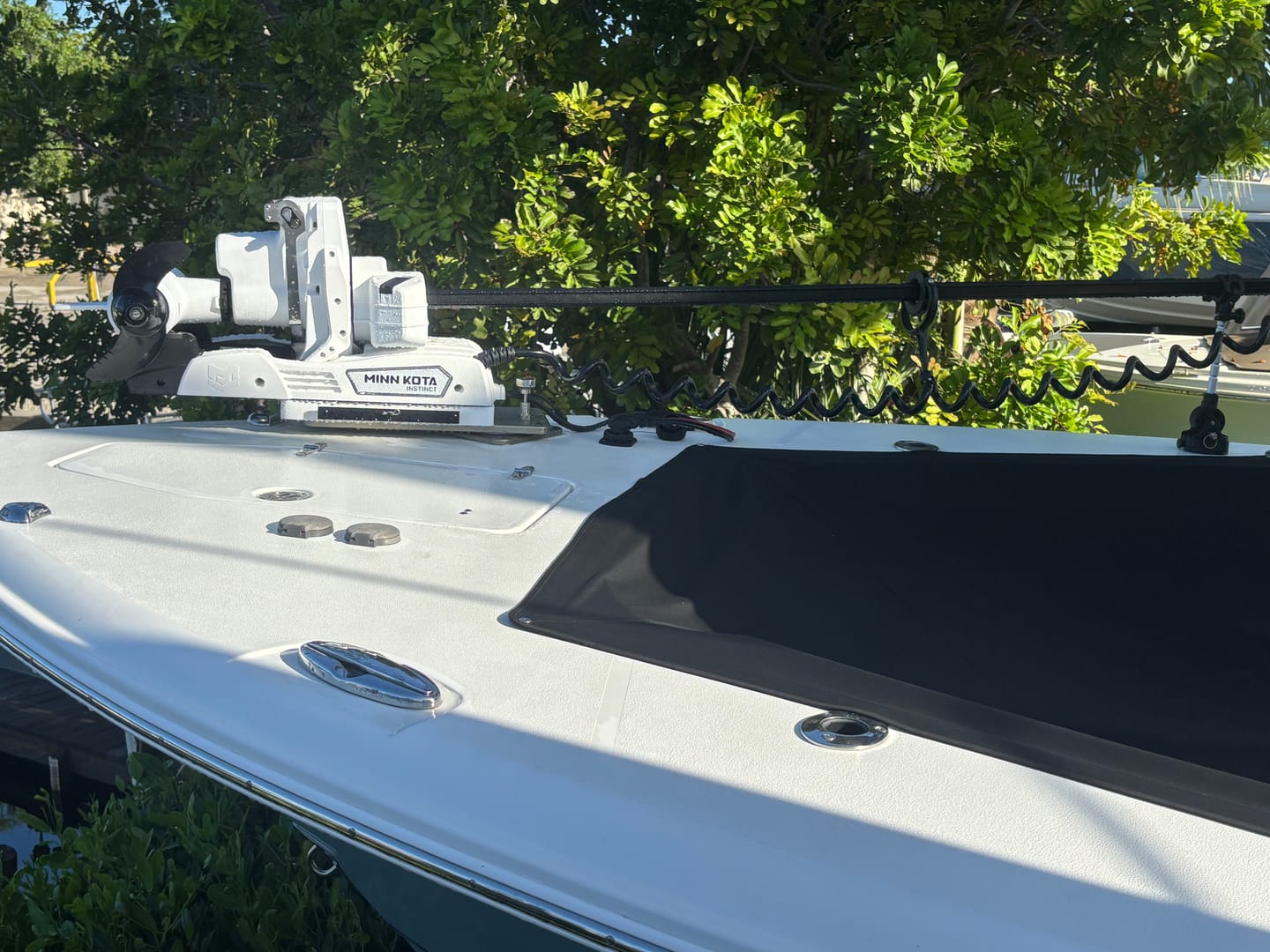 Customer photo review of Sea Swivel Trolling Motor Mount
