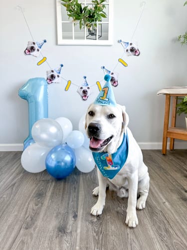 Customer photo review of Personalized Dog Party Pack
