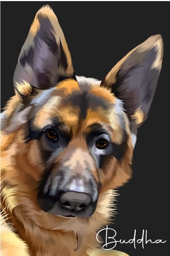 Customer photo review of Pet Art Canvas Wrap
