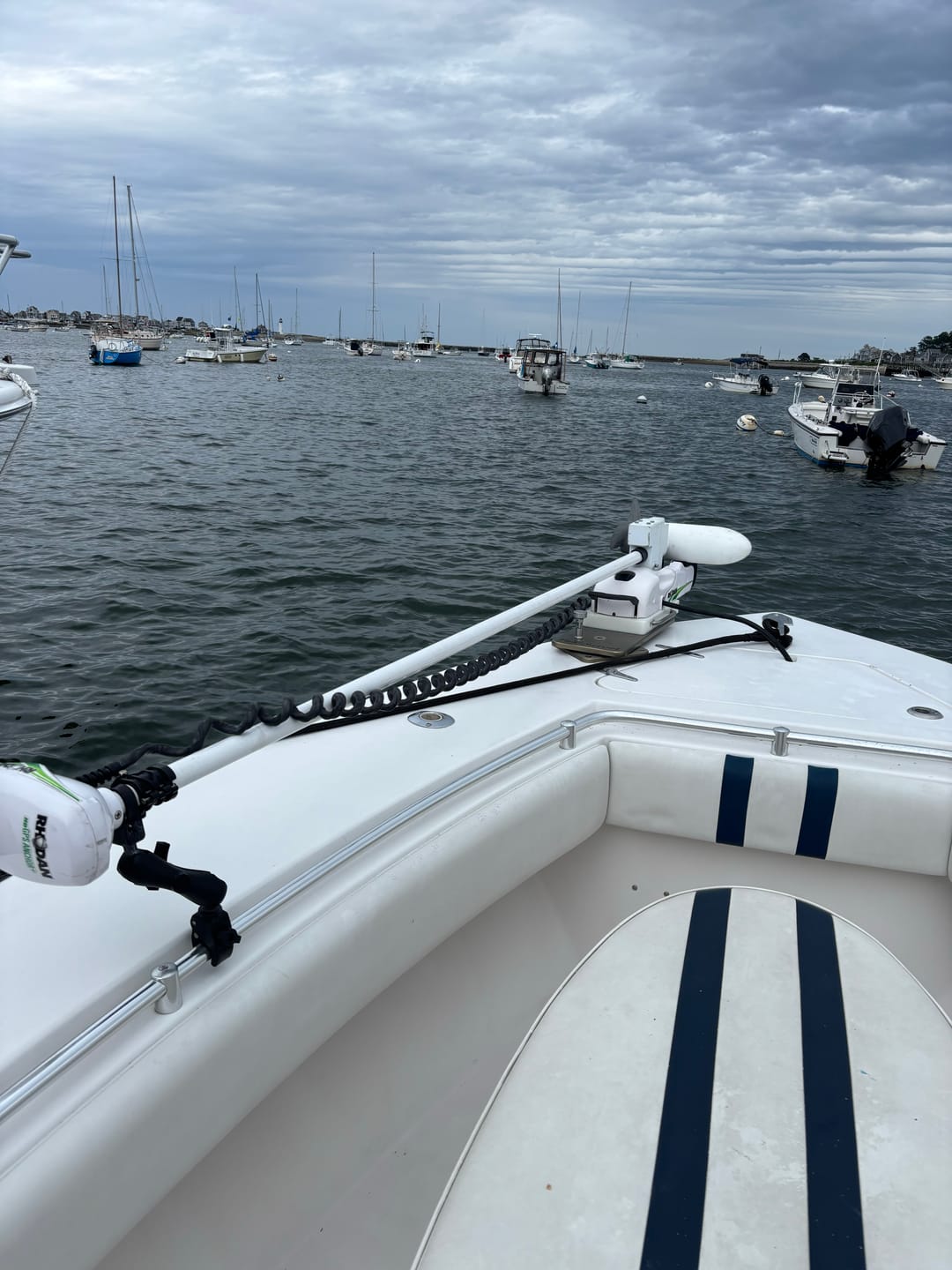 Customer photo review of Sea Swivel Trolling Motor Mount