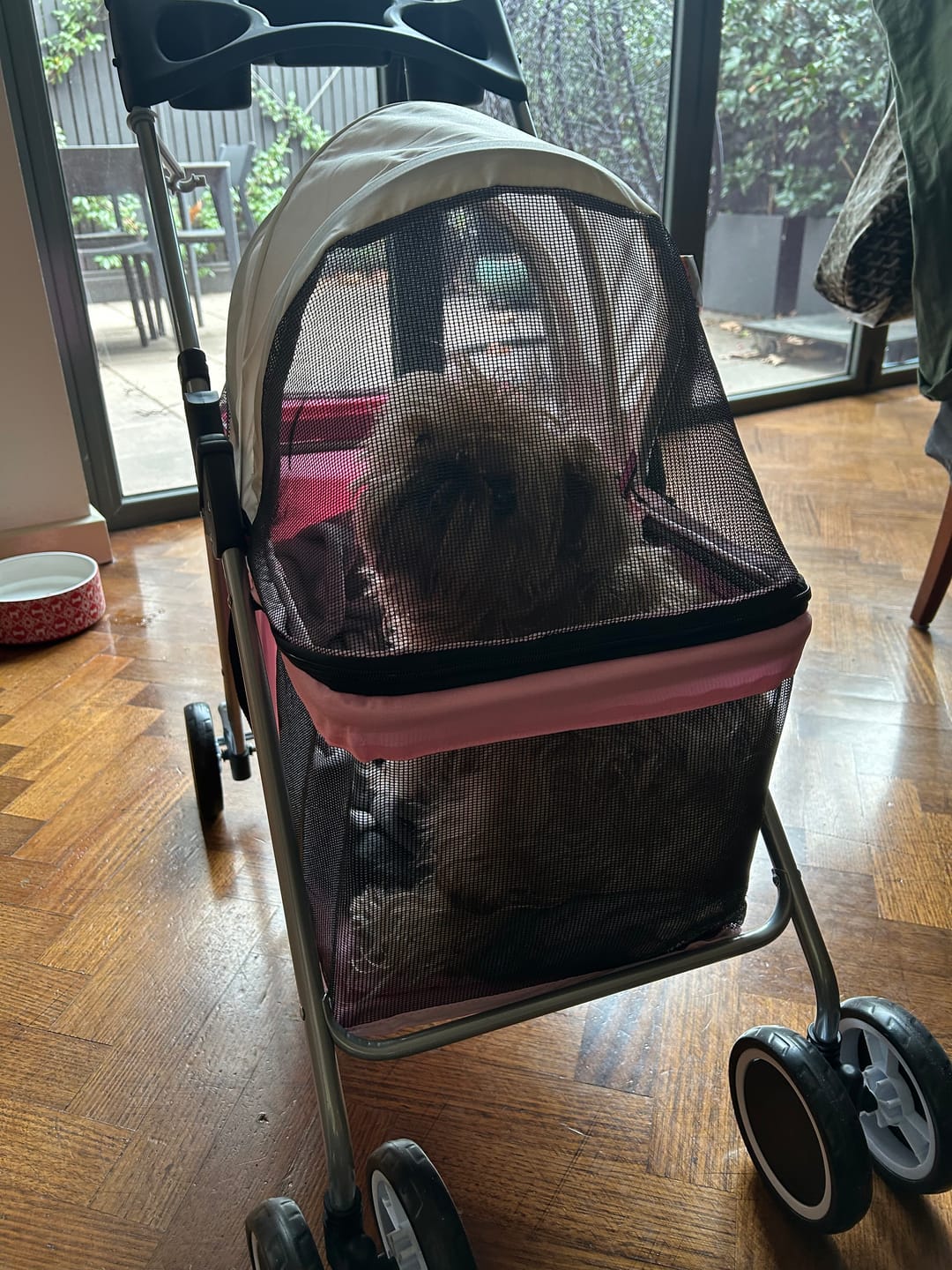 Customer photo review of Pawz Compact & Comfortable Pet Stroller