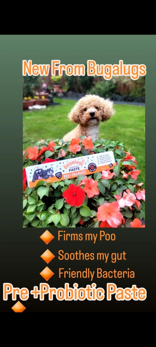 Customer photo review of Pre & Probiotic Digestive Paste for Dogs & Cats (30ml)