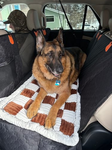 Customer photo review of RuffRover 2.0™ - Hard Bottom Back Seat Extender + (FREE Dog Bed)