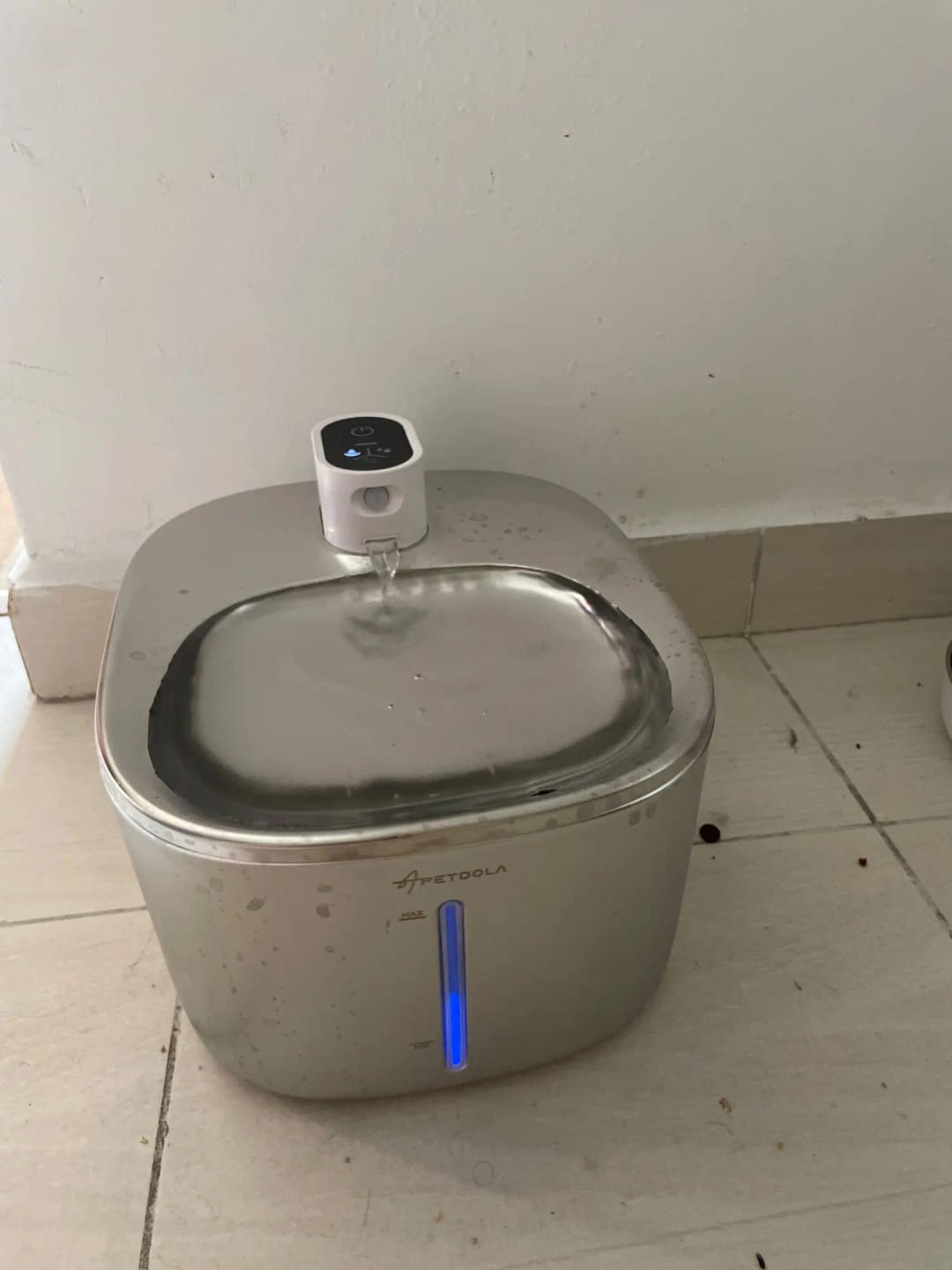Customer photo review of 🐾 PawMaxi SmartFlow™ – 4L Wireless Water Fountain