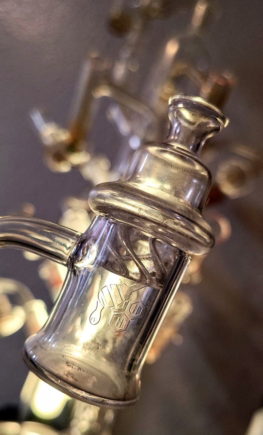Customer photo review of HONEY HIVE CARB CAP