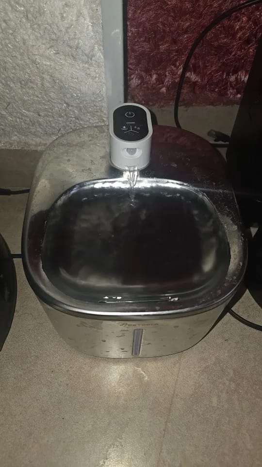 Customer photo review of 🐾 PawMaxi SmartFlow™ – 4L Wireless Water Fountain