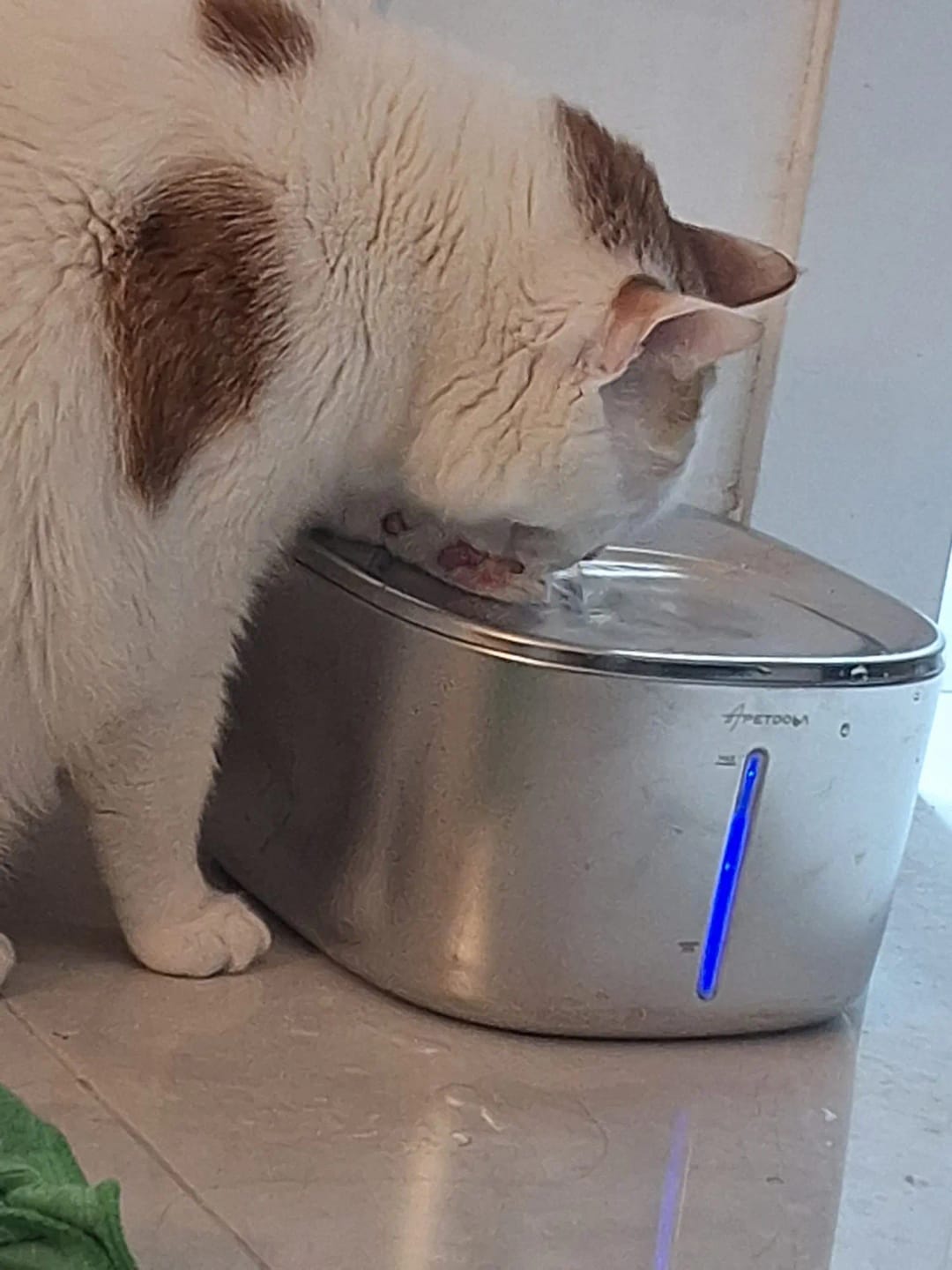 Customer photo review of 🐾 PawMaxi SmartFlow™ – 4L Wireless Water Fountain