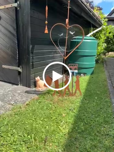 Customer video review of Gartenstecker Schützenfest