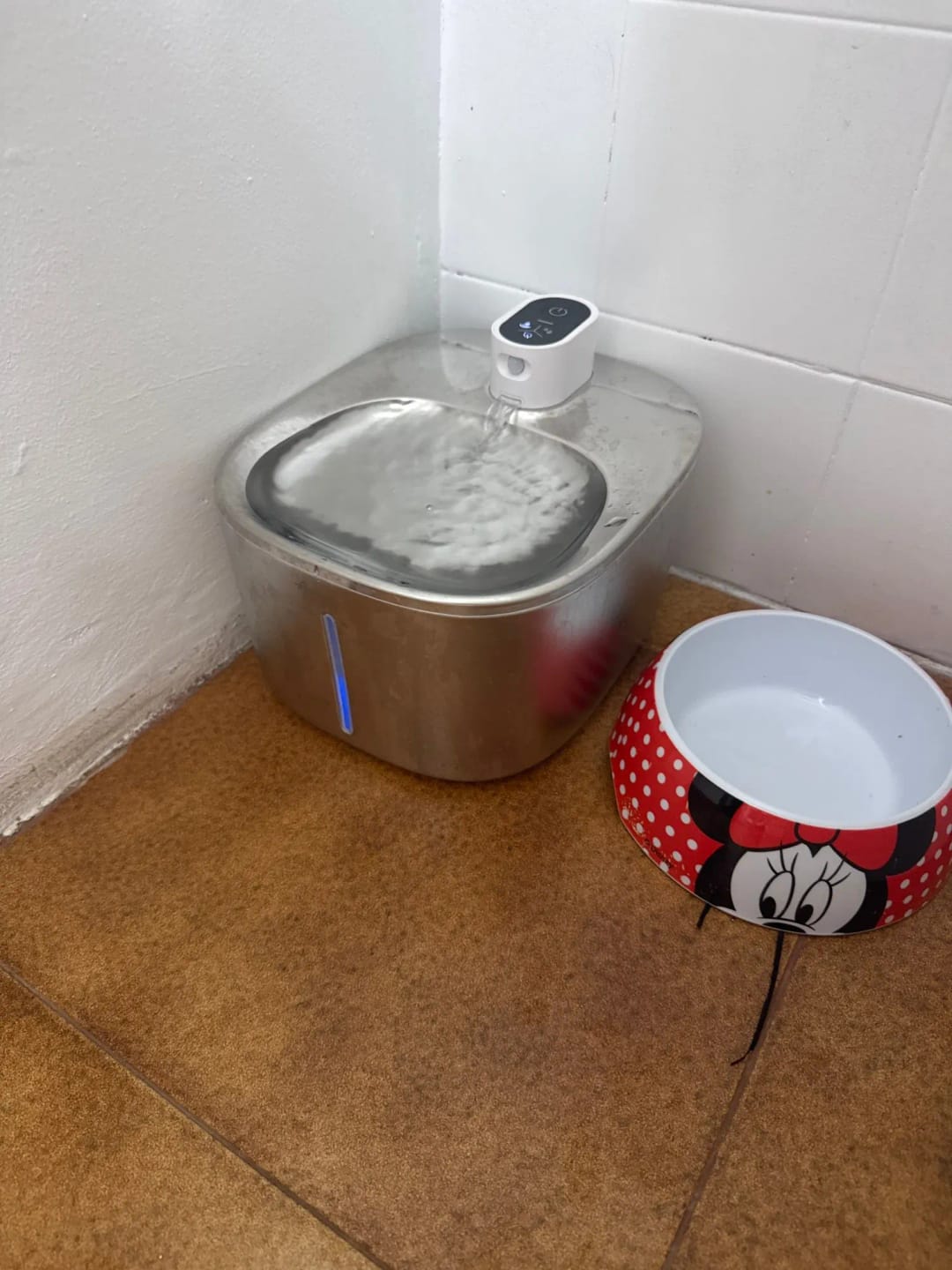 Customer photo review of 🐾 PawMaxi SmartFlow™ – 4L Wireless Water Fountain