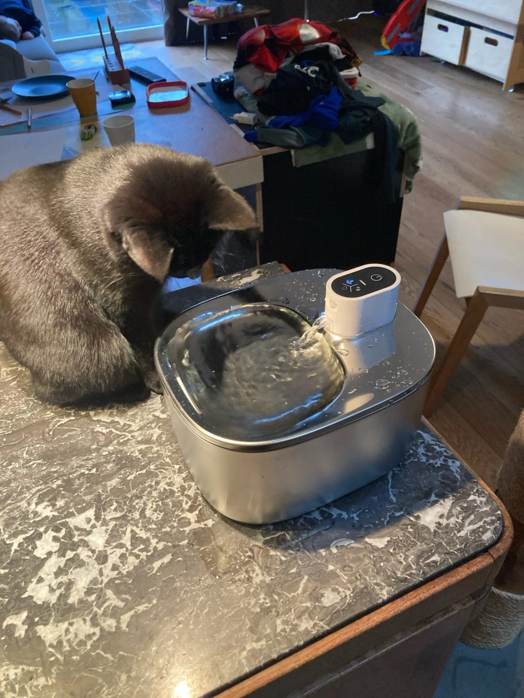 Customer photo review of 🐾 PawMaxi SmartFlow™ – 4L Wireless Water Fountain