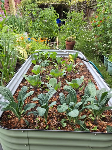 Customer photo review of 17” Tall Modular 9 in 1