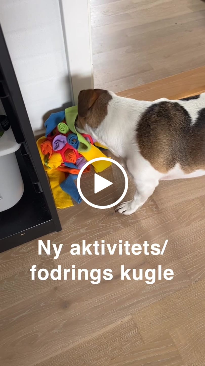 Customer video review of SnufFiesta: Den Ultimative Snusebold