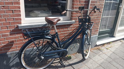 Customer photo review of E-Cargo N3