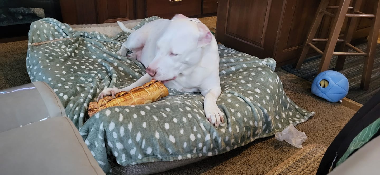 Customer photo review of 10-12 Inch Peanut Butter Cheek Roll