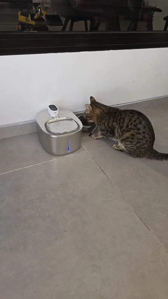 Customer photo review of 🐾 PawMaxi SmartFlow™ – 4L Wireless Water Fountain