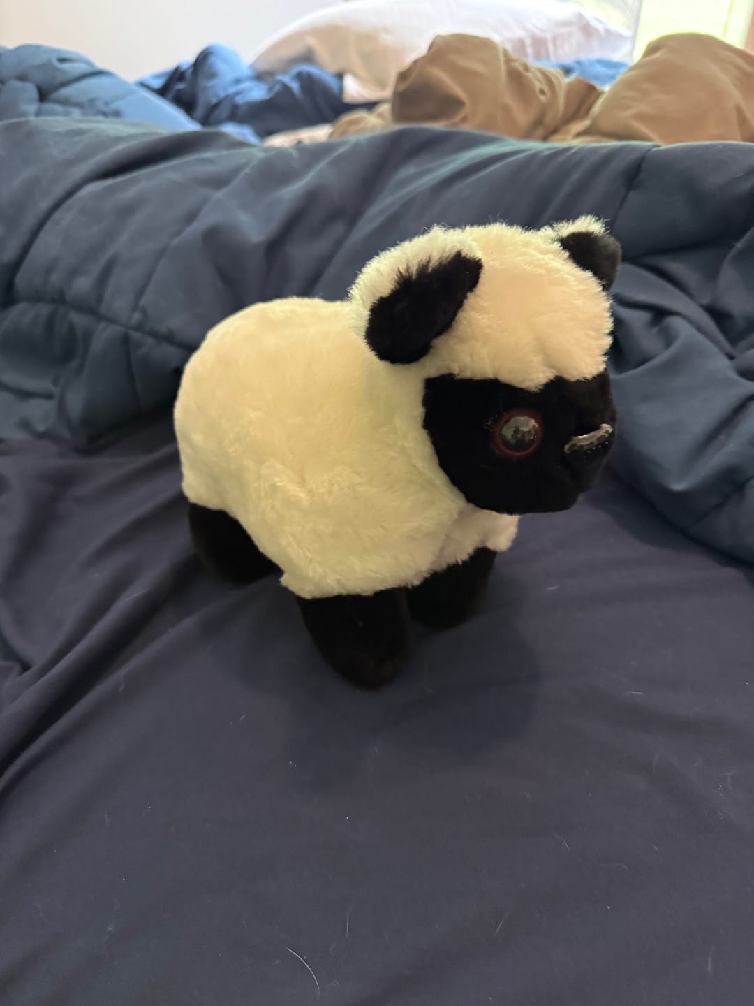 Customer photo review of Merino Shearlings
