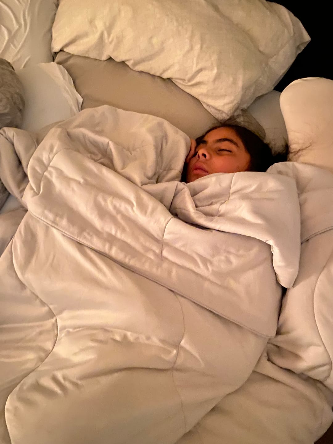 Customer photo review of The Ice Blanket