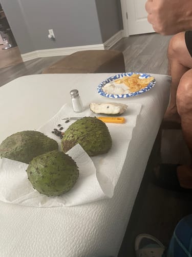 Customer photo review of Soursop