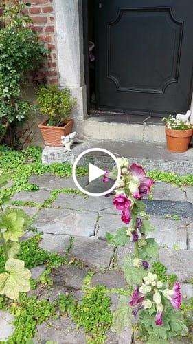 Customer video review of Décoration Murale en Métal - Arbre de vie (Platane)