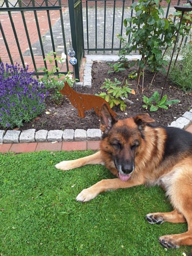 Customer photo review of Gartenstecker Schäferhund