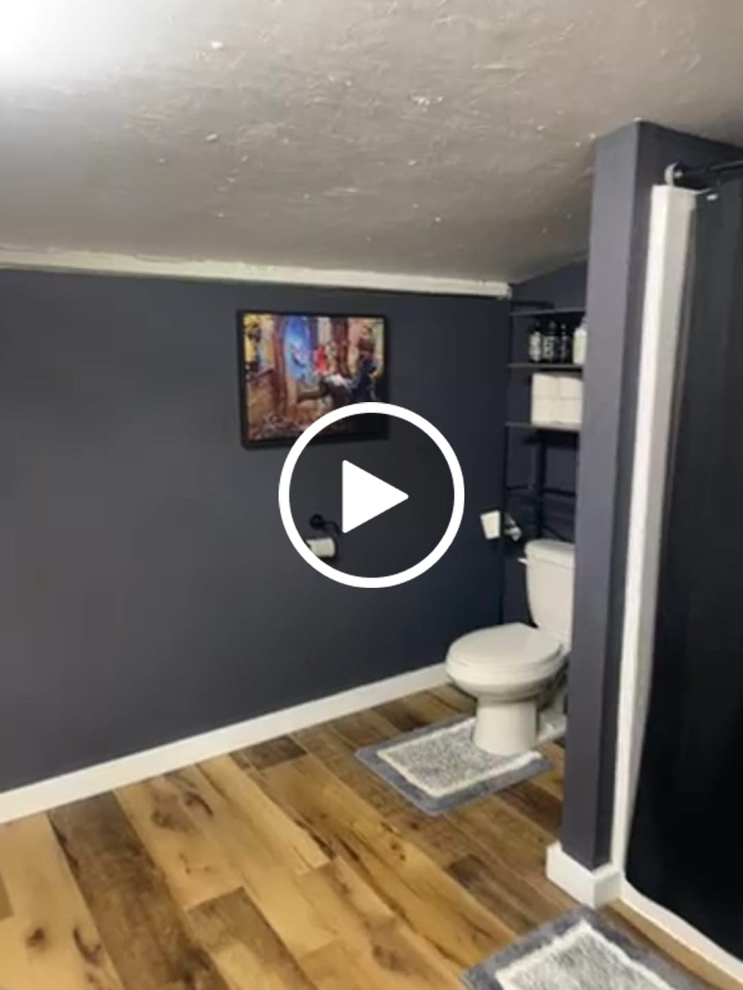 Customer video review of Dumb & Dumber Bathroom Decor Wall Art