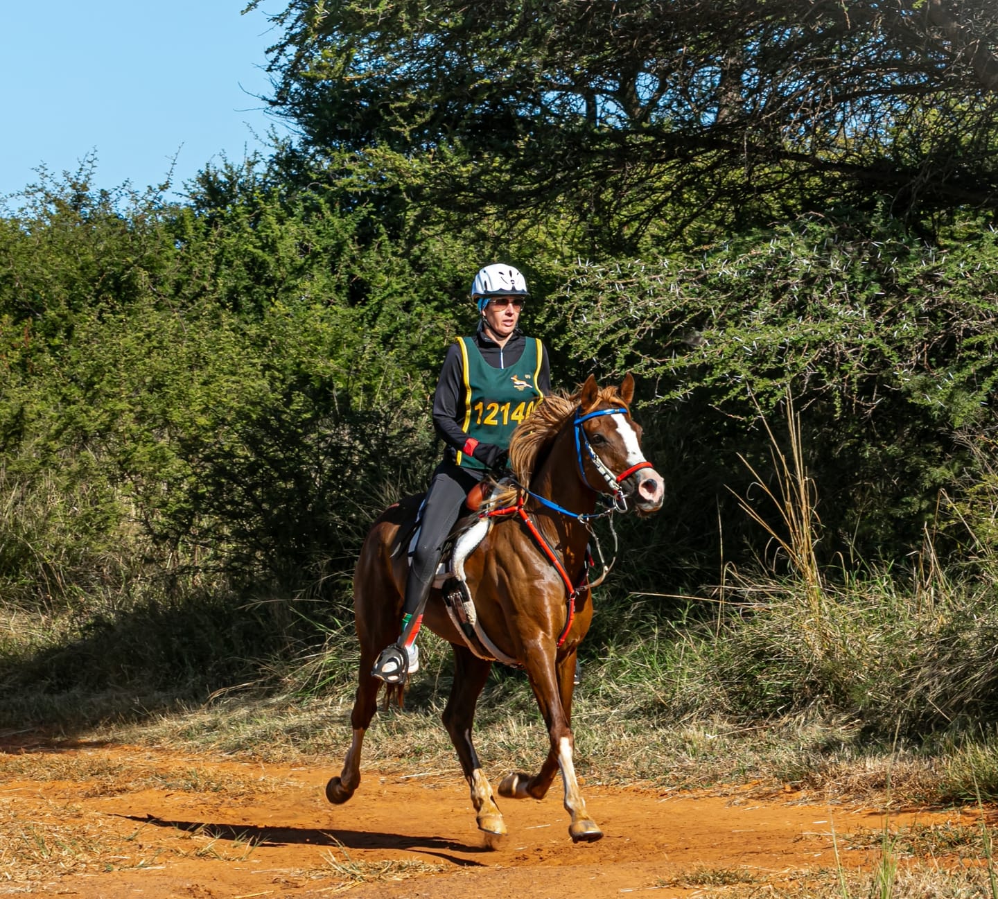 Customer photo review of Flexcare Equine (Joint Supplement For Horses)