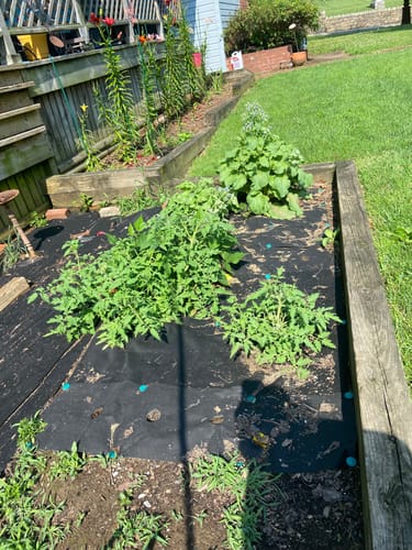 Customer photo review of Design Your Own Garden