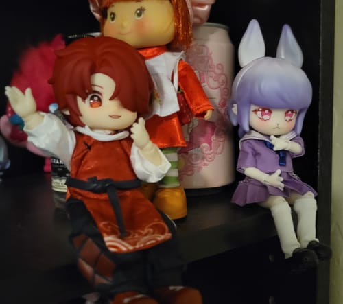Customer photo review of Nagi Cub Study Tour Season Series Action Figure Blind Box