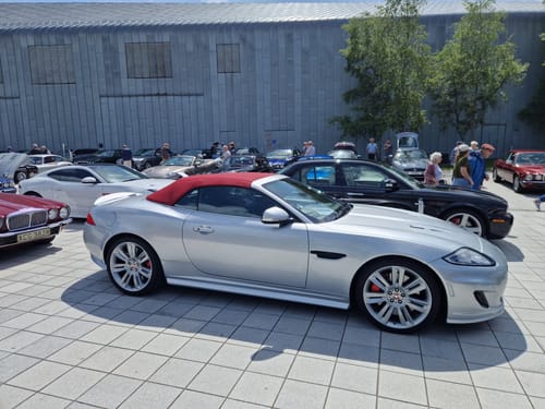 Customer photo review of Limlex® Platinum Car Care Set