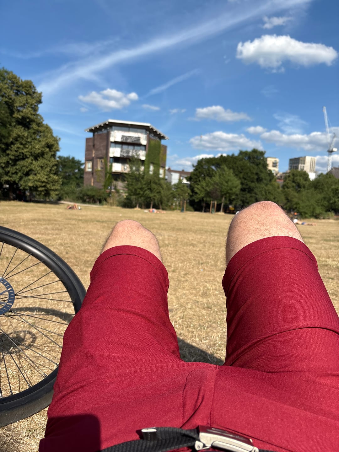 Customer photo review of Ultra-Stretch 9” Chino Shorts - Burgundy