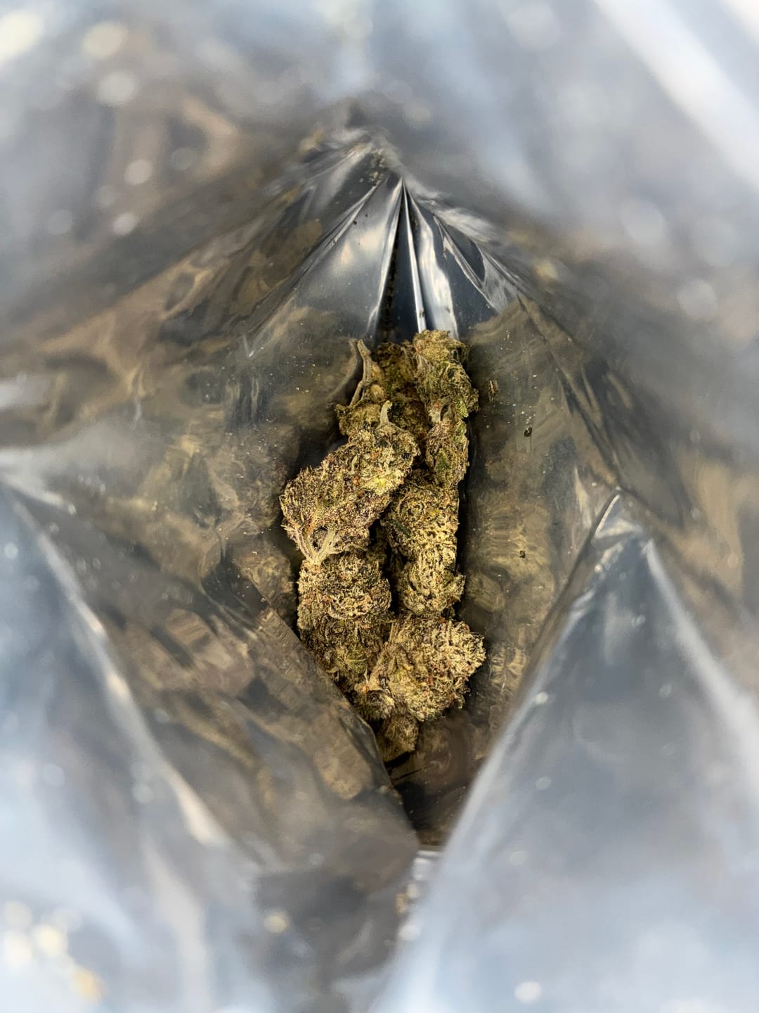 Customer photo review of Zoap - THCa Flower