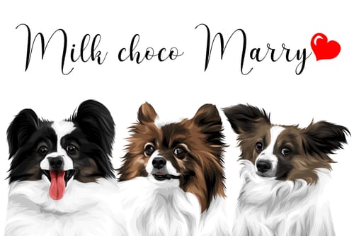 Customer photo review of Petcanvaオーダーメイド ペット似顔絵