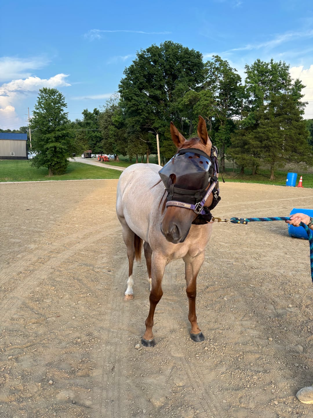 Customer photo review of Padding Set By PPS