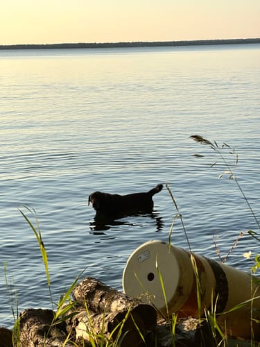 Customer photo review of Pain Relief