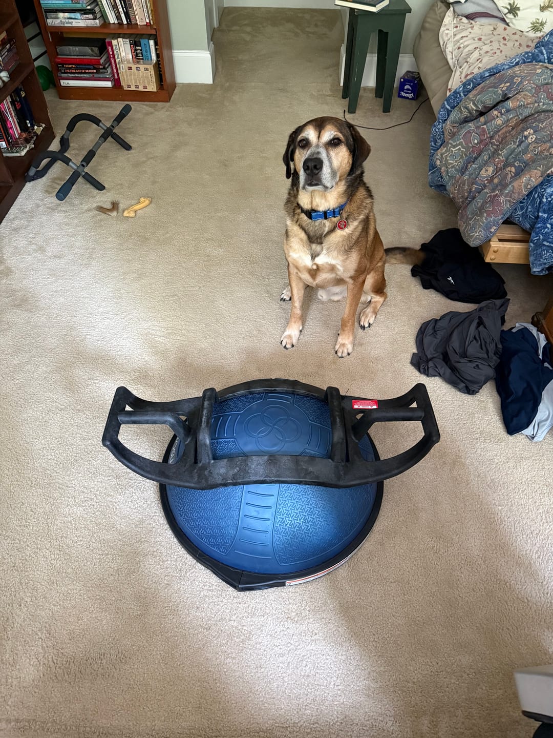 Customer photo review of HELM (Push Up Bar)