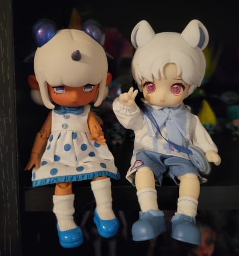 Customer photo review of NAGI Exchange Student Series Action Figure Blind Box