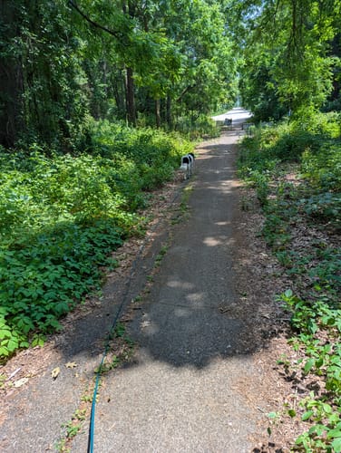 Customer photo review of Biothane Drag Line for Dogs