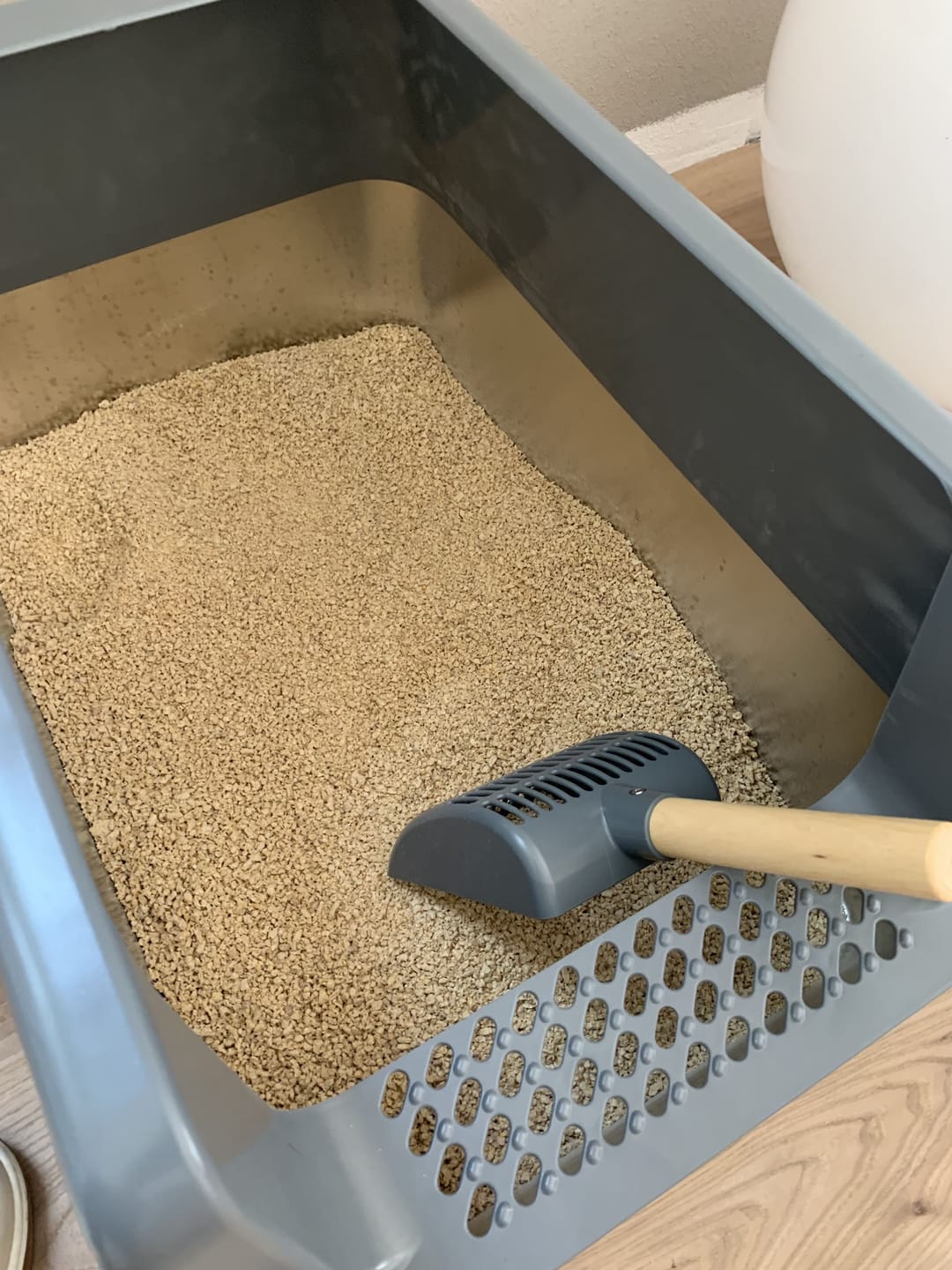 Customer photo review of LittyBag - La Prima Sabbietta Naturale a Clumping Superficiale