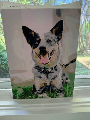 Customer photo review of Custom Paint by Numbers Kit for Personalized Artwork