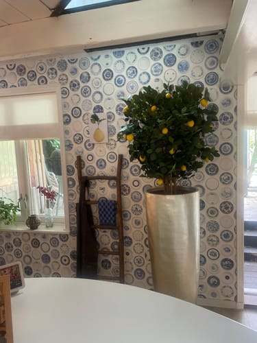 Customer photo review of Kunst Citroenboom 120cm