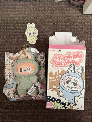 Customer photo review of Pop Mart Labubu The Monsters Tasty Macarons Vinyl Plush Pendant (Single Blind Box)