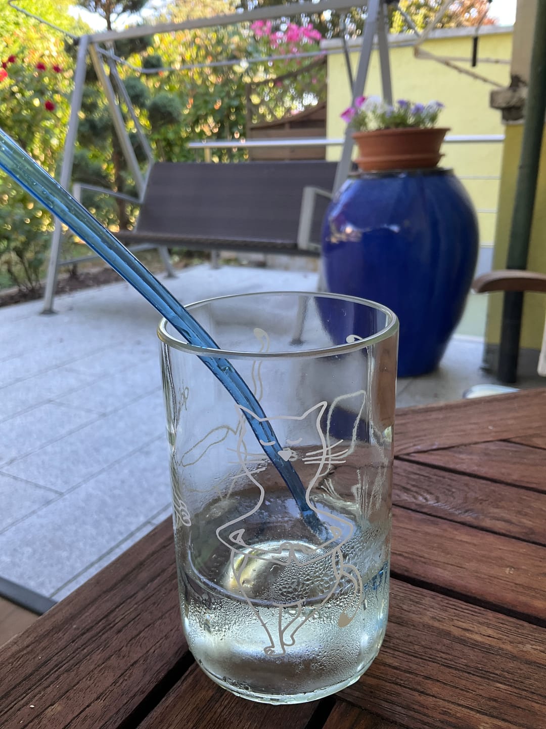 Customer photo review of Les Chats - Set de 4 verres