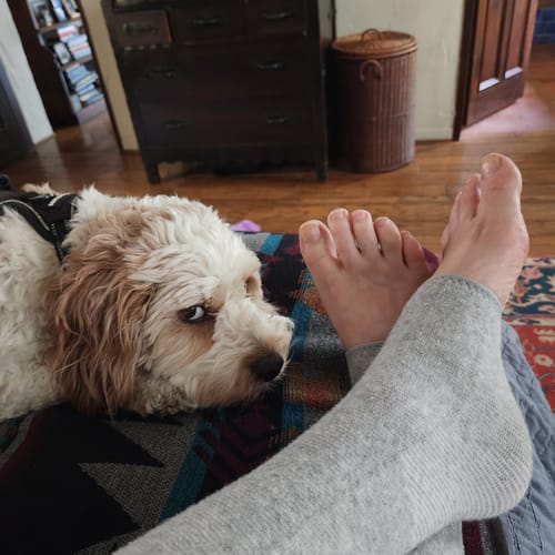 Customer photo review of Premium Anti-Fatigue Bamboo Footsleeves