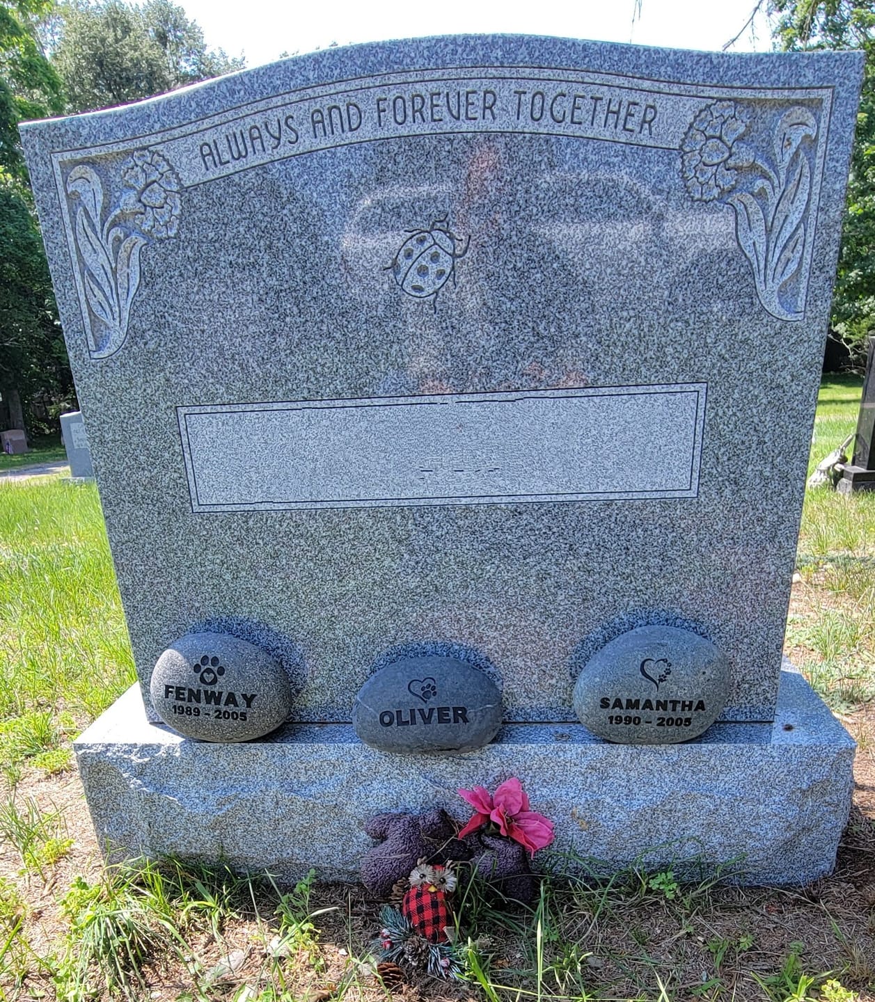 Customer photo review of Dog headstones Grave Marker Custom Engraved Pet Memorial River Rock Stone Heart Paw Print