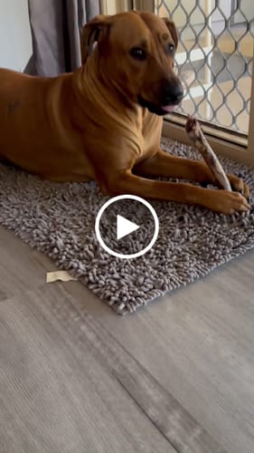 Customer video review of Shipping Protection