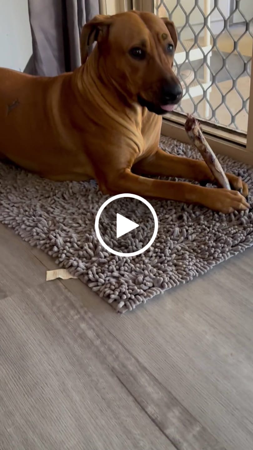 Customer video review of Shipping Protection
